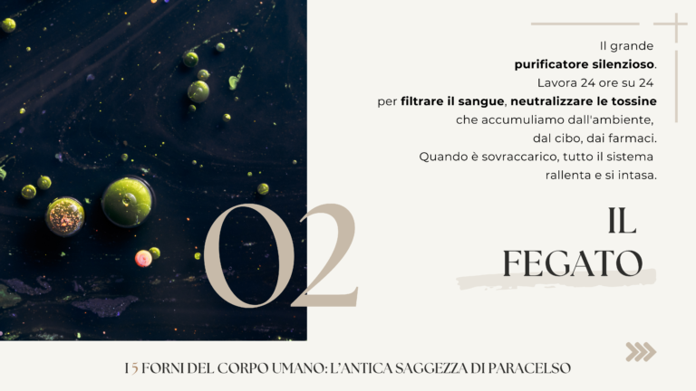 Carosello I 5 forni - Paracelso (Presentazione) - 3